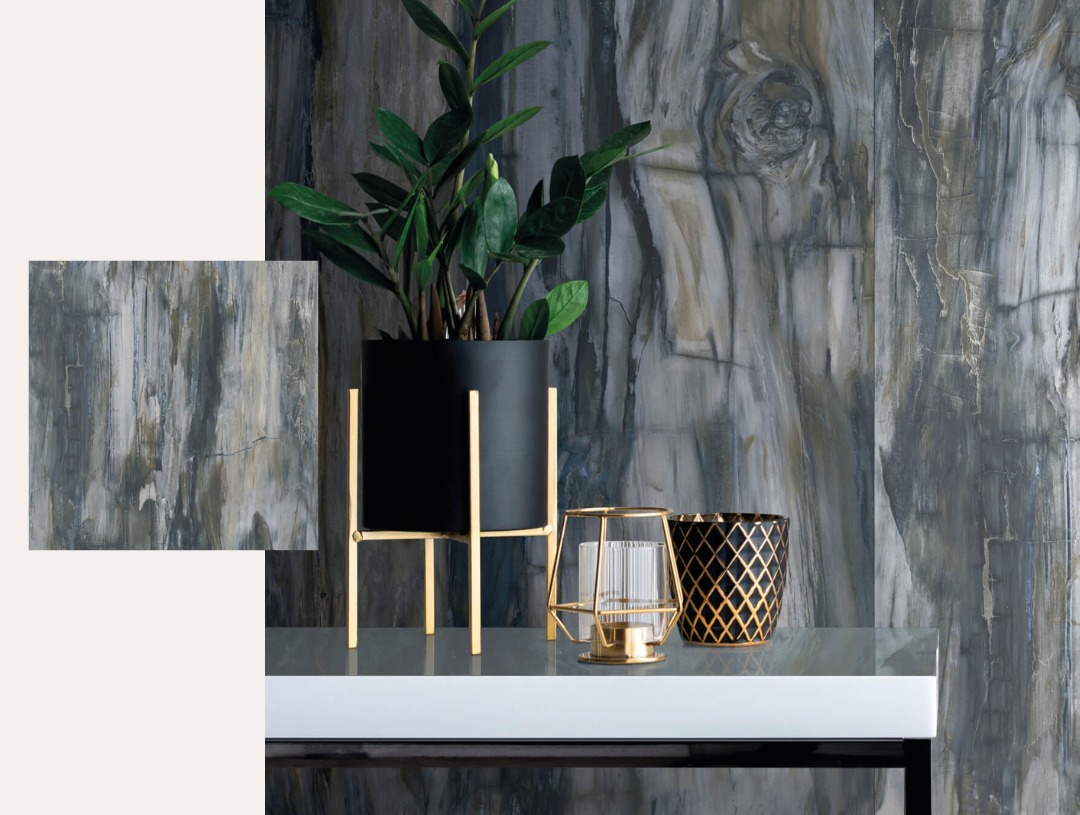petrified wood blue